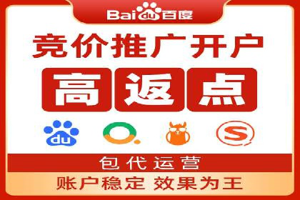 百度竞价入门必看：实操技巧与成功案例